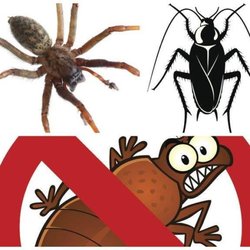 Wild West Pest Management