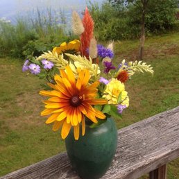 My u-pick flowers! My u-pick flowers!