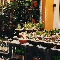 Boeketterie Binnenweg - Onze winkel in de winter