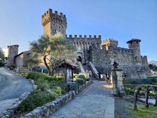 Castello di Amorosa by null