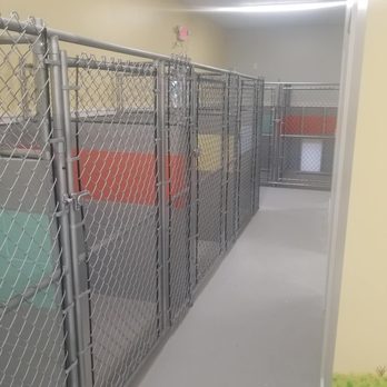 Wiggle Butts & Waggin Tails - Boarding - Pet Training Near Me - Cedar, Michigan Wiggle Butts & Waggin Tails - Boarding - Pet Training Near Me - Cedar, Michigan