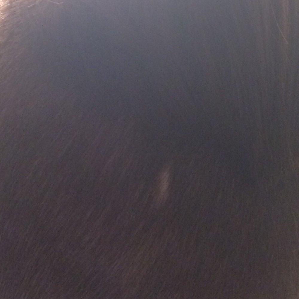 Salon4Men - LITERAL hole put into my partners hair by Lisa. - Hair Salons Near Me - Stowe, Vermont