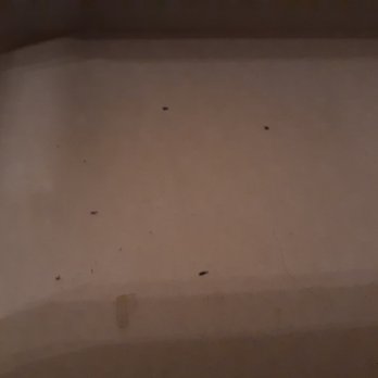 Oatman Hotel - mouse droppings in drawer - American Near Me - Oatman, Arizona