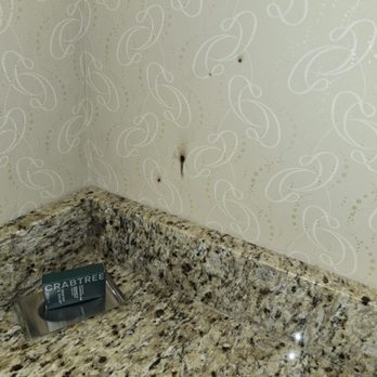 DoubleTree by Hilton Hotel Rocky Mount - Burn marks on bathroom wall - Hotels Near Me - Rocky Mount, North Carolina DoubleTree by Hilton Hotel Rocky Mount - Burn marks on bathroom wall - Hotels Near Me - Rocky Mount, North Carolina