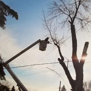 Central MN Tree Service - untitled - Tree Services Near Me Central MN Tree Service - untitled - Tree Services Near Me