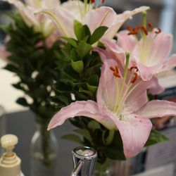 Relax & Refresh Beauty Salon - Relax & Refresh yourself in Paddington with Maria's fresh flowers greeting you on arrival.
