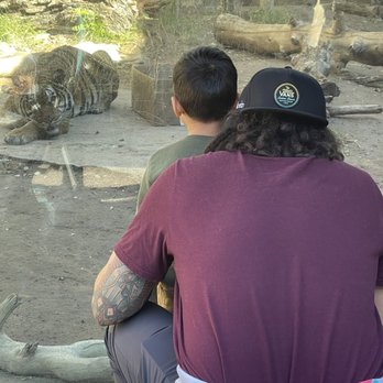 El Paso Zoo - Aquariums Near Me - El Paso, Texas El Paso Zoo - Aquariums Near Me - El Paso, Texas