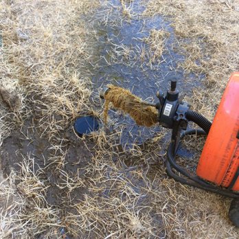 Earl's Performance Plumbing - Clearing a main drain line and we pulled back roots! - Plumbing Near Me - Yuba City, California Earl's Performance Plumbing - Clearing a main drain line and we pulled back roots! - Plumbing Near Me - Yuba City, California