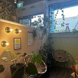 Canntina - Plants and cool hangout