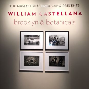 Museo ItaloAmericano - Museums Near Me - San Francisco, California
