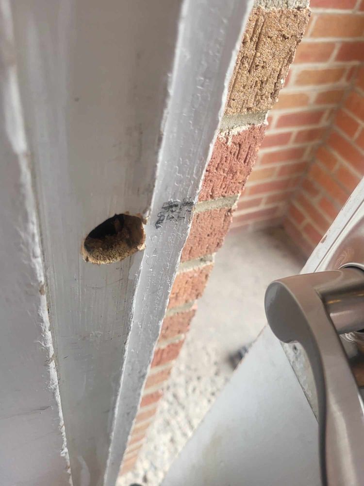 COLONIAL VILLAGE APARTMENTS Updated September 2024 26191 Pinehurst, Roseville, Michigan