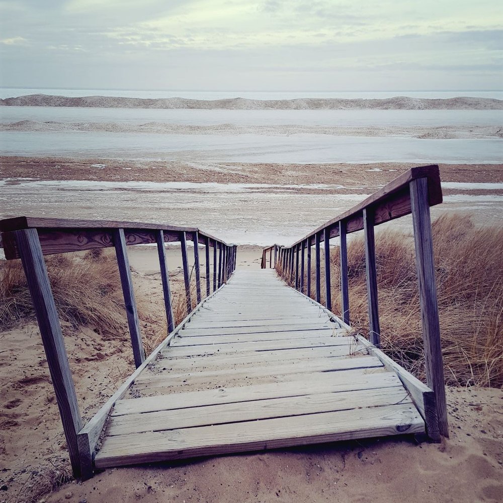 Oval Beach - Our summer stairs don't look as enticing when it is this cold out! - Beaches Near Me - Saugatuck, Michigan