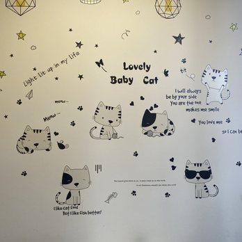 Drincup Cafe - The cute kitties on the wall 3.14.22 - Bubble Tea Near Me - Honolulu, Hawaii Drincup Cafe - The cute kitties on the wall 3.14.22 - Bubble Tea Near Me - Honolulu, Hawaii