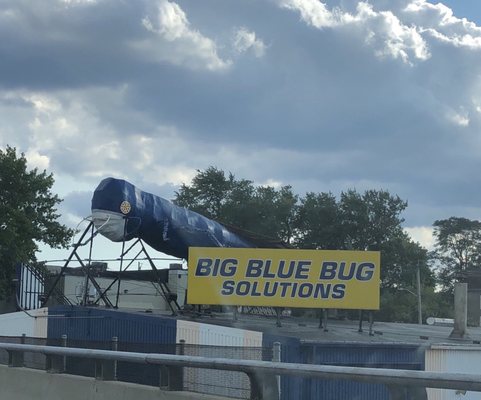 Big Blue Bug Solutions by null
