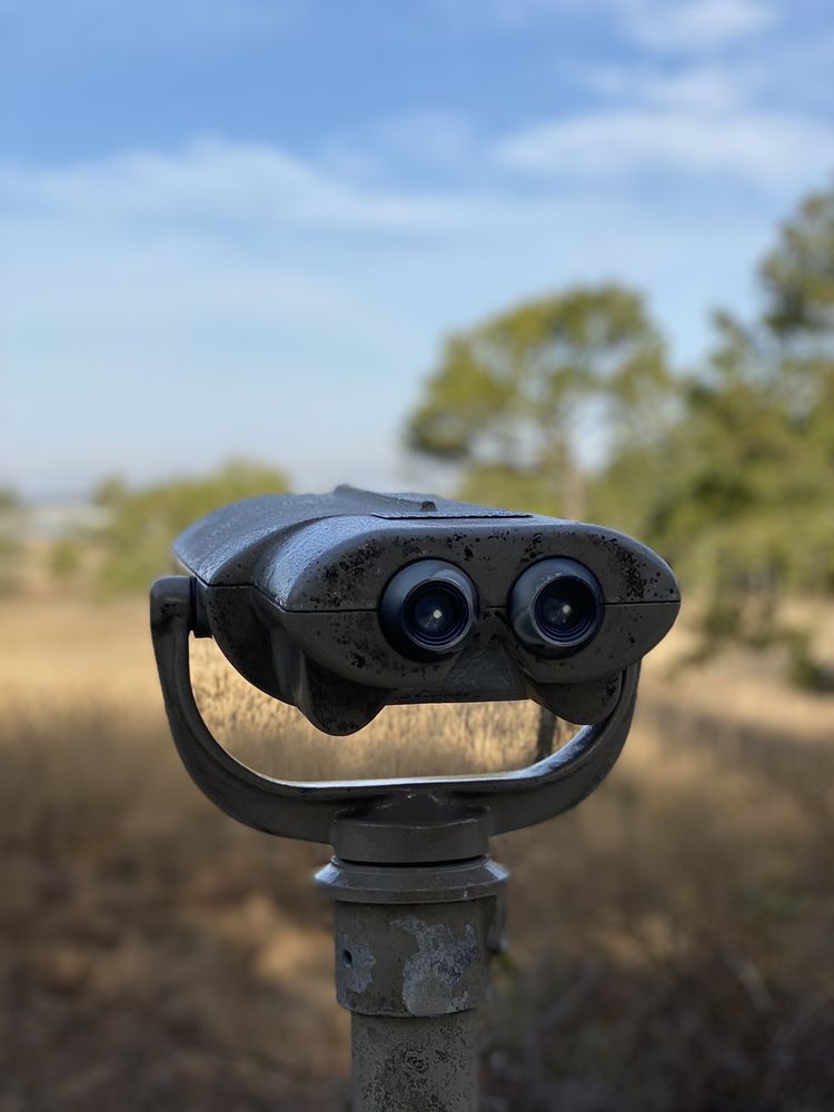 Assateague National Shoreline Beach