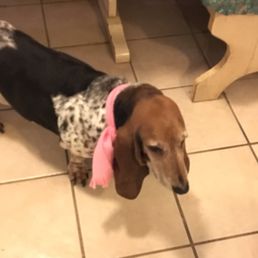 Wish she was looking up but concentrating on her treat