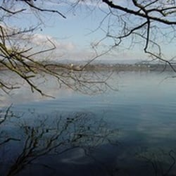 Greifensee Stiftung