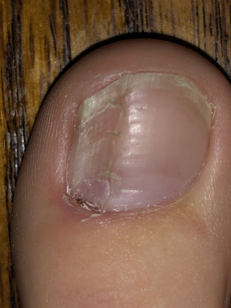 TOP NAILS Updated June 2024 27 Photos & 19 Reviews 331 E State Rd