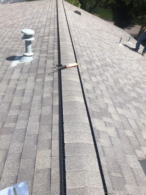 Slide of Vick's Tree Experts