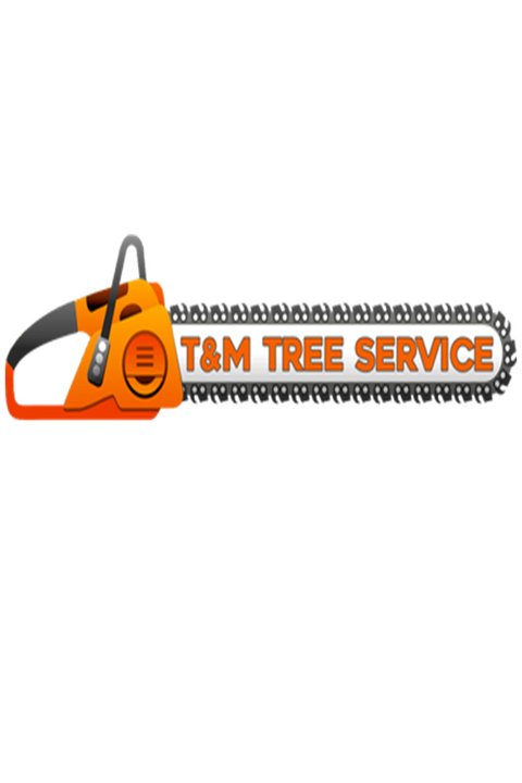 T&M Tree Services - tree service in Lincoln, NE