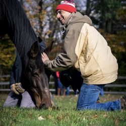 Horses and Pathfinders - Take Extraordinary Action With Team Building & Leadership Development  #Vermont #Leadership #TeambuildingActivities #BostonMA