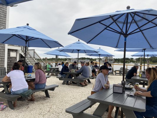 Westport Sea Farms by null