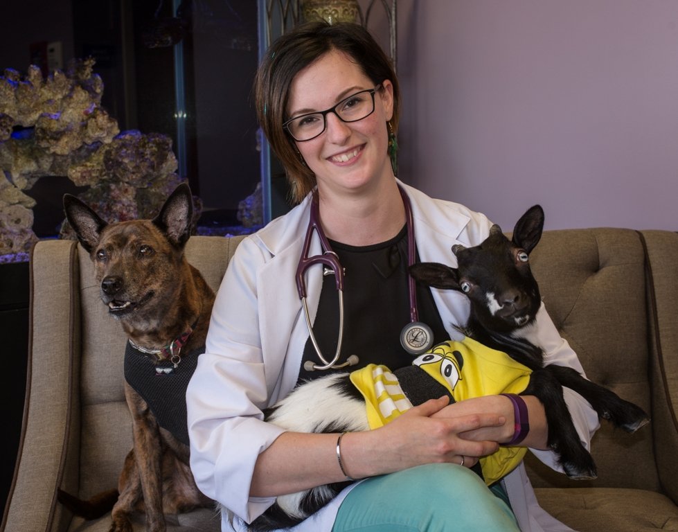 MIDDLE CREEK VETERINARY HOSPITAL & EXOTIC ANIMAL CLINIC Updated