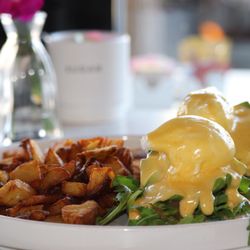 MID KITCHEN - Avocado Benny