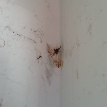 Channel Islands Inn - Spider guts on the wall - Hotels Near Me - Oxnard, California Channel Islands Inn - Spider guts on the wall - Hotels Near Me - Oxnard, California