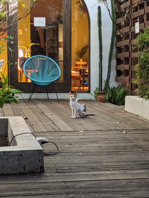 DREAMCATCHER by DW - Adults Only by null