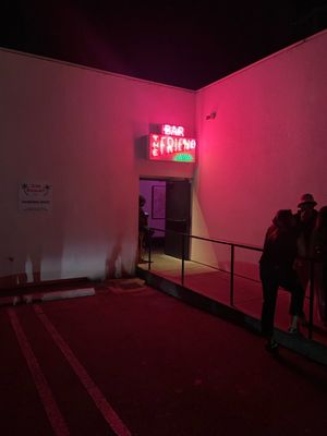 The Little Friend by null