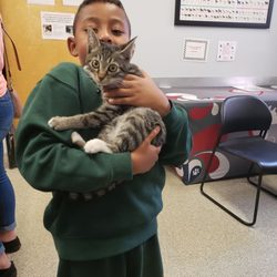 Inland Valley Humane Society - Cocoa getting his shots