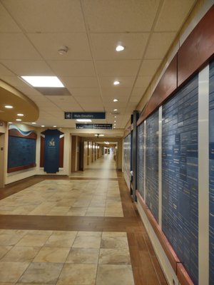 MEMORIAL HOSPITAL - BELLEVILLE - Updated March 2026 - 13 Photos & 43 ...