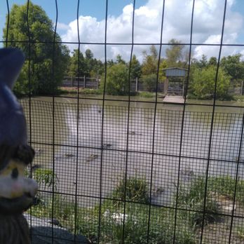 Greenwood Gator Farm - Walking Tours Near Me - Gibson, Louisiana