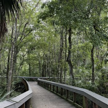 Silver Springs State Park - Tours Near Me - Silver Springs, Florida Silver Springs State Park - Tours Near Me - Silver Springs, Florida
