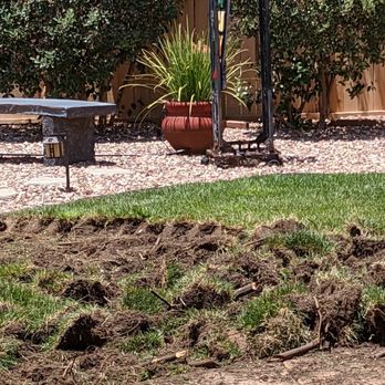 Turf Solutions - Artificial Turf Near Me Turf Solutions - Artificial Turf Near Me