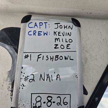 Kona Honu Divers - Best crew ever... a hui hou - Scuba Diving Near Me - Kailua-kona, Hawaii Kona Honu Divers - Best crew ever... a hui hou - Scuba Diving Near Me - Kailua-kona, Hawaii