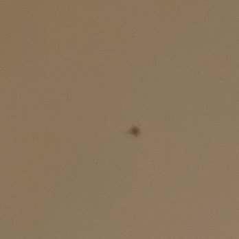 Rise Uptown Hotel - Mosquitoes everywhere in room! - Hotels Near Me - Phoenix, Arizona Rise Uptown Hotel - Mosquitoes everywhere in room! - Hotels Near Me - Phoenix, Arizona