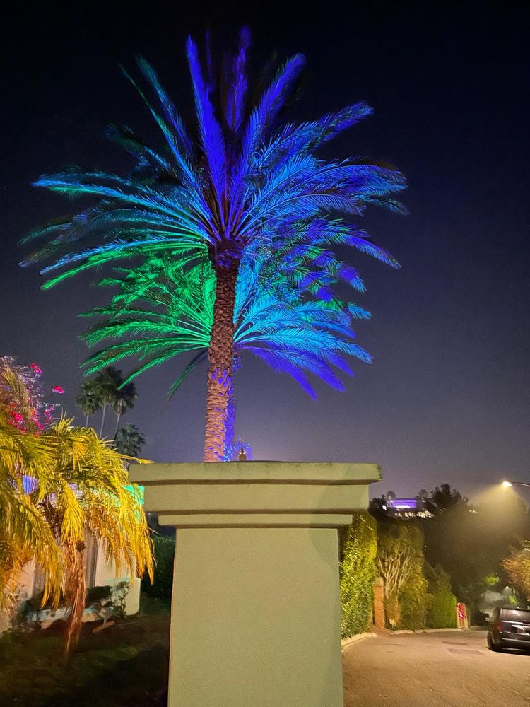 Slide of Sos Electric La