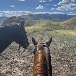 A-Ok Corral