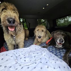 Mitzie Rue’s Canine Corral - Always happy to see Anna!