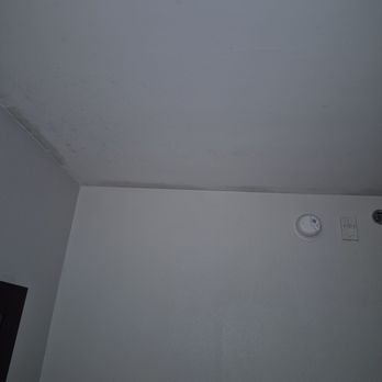 La Quinta by Wyndham LaGrange / I-85 - Mold and someone had smashed two roaches and they were left on the wall - Hotels Near Me - LaGrange, Georgia La Quinta by Wyndham LaGrange / I-85 - Mold and someone had smashed two roaches and they were left on the wall - Hotels Near Me - LaGrange, Georgia