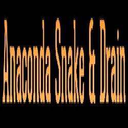 Anaconda Snake & Drain
