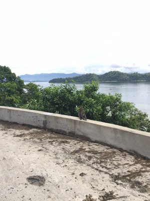 Gaya Island Resort by null