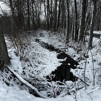 Mosquito Lake State Park - Snowy creek - Parks Near Me - Cortland, Ohio Mosquito Lake State Park - Snowy creek - Parks Near Me - Cortland, Ohio
