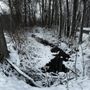 Photo of Mosquito Lake State Park