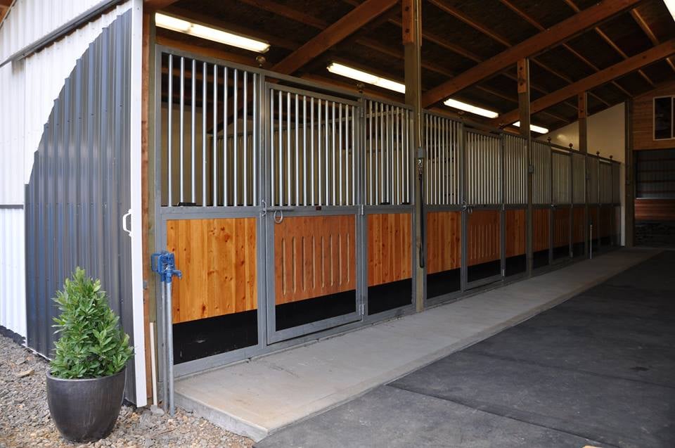 HAWKINS EQUINE 1613 NE 259th St, Ridgefield, Washington Horseback