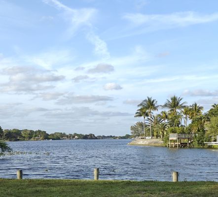 The Hive Waterfront Restaurant & Tiki by null