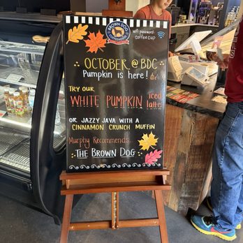 Brown Dog Coffeehouse - Gelato Near Me - Ocala, Florida