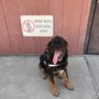 Photo of City Of Katy Dog Park